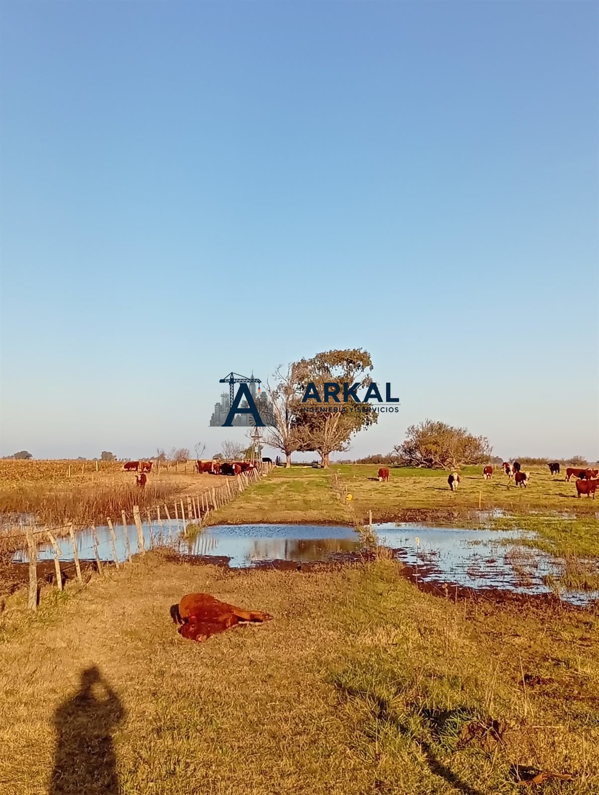 Campo anegado con agua encerrada a ambos lados del alambrado, antes de la obra de drenaje