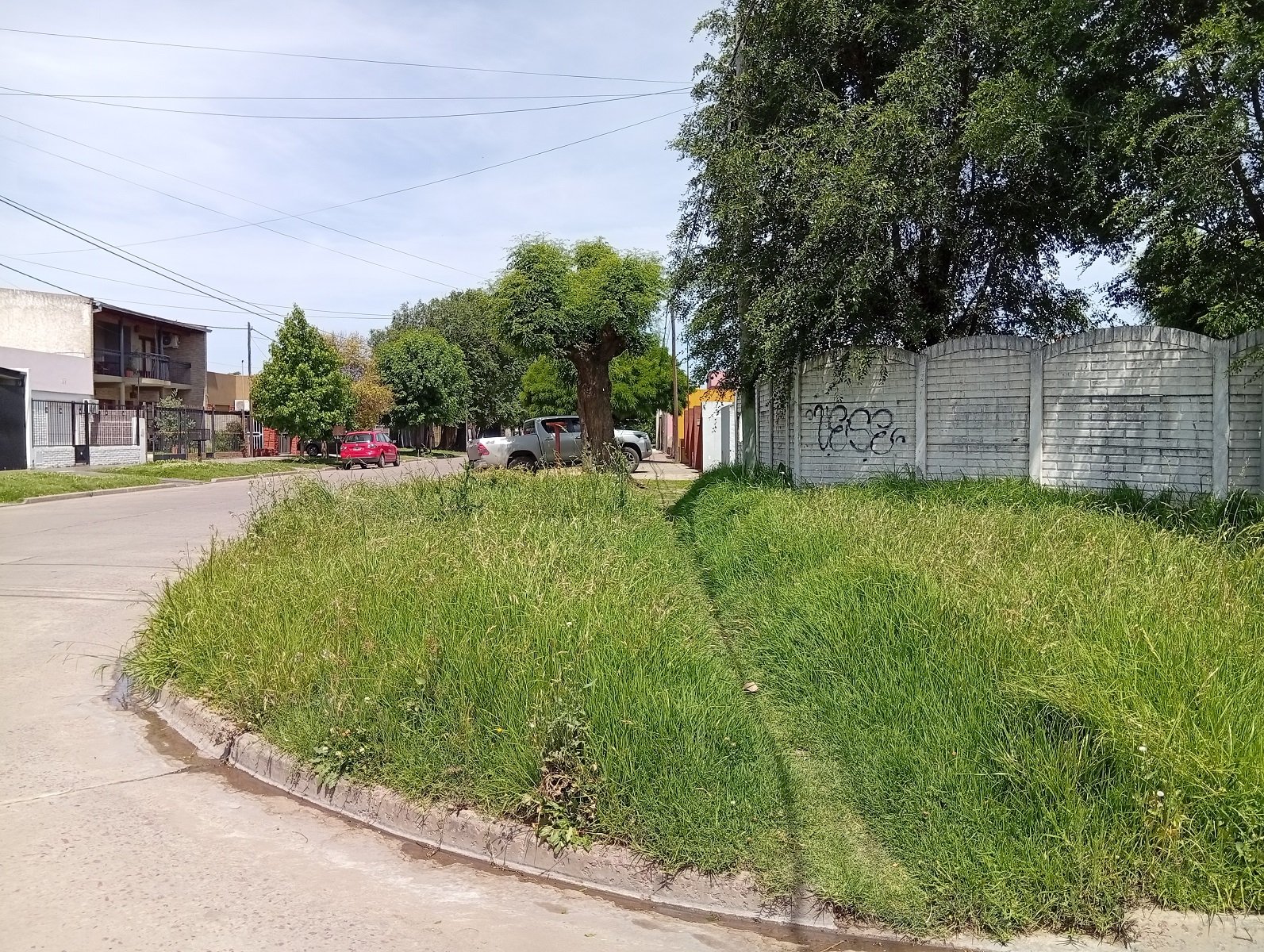 Alambrado olímpico en establecimiento rural de Buenos Aires